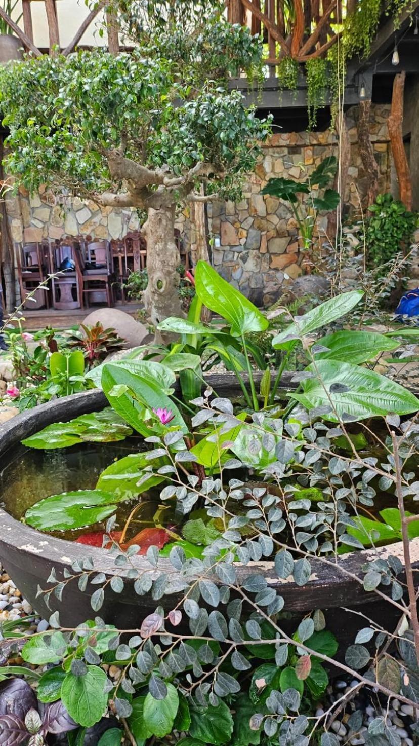 Phoenix Hotel An Bang Beach Hoi An Exterior photo